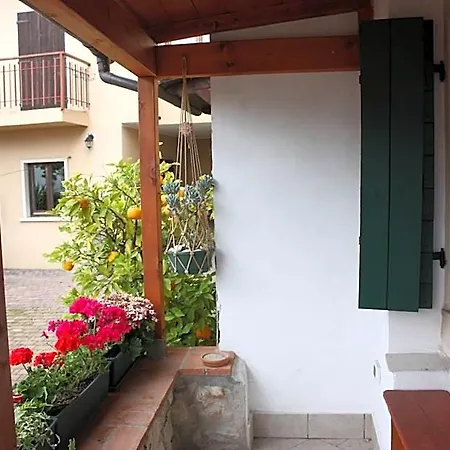 Brixius Verona